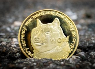 Hva er Dogecoin Hva er Dogecoin